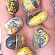 'Bumblebee Jasper' (the orpiment in calcite), Minerals, Essentuki,  Фото №1
