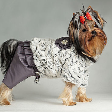 Правила вязания одежды спицами для собак мелких пород
