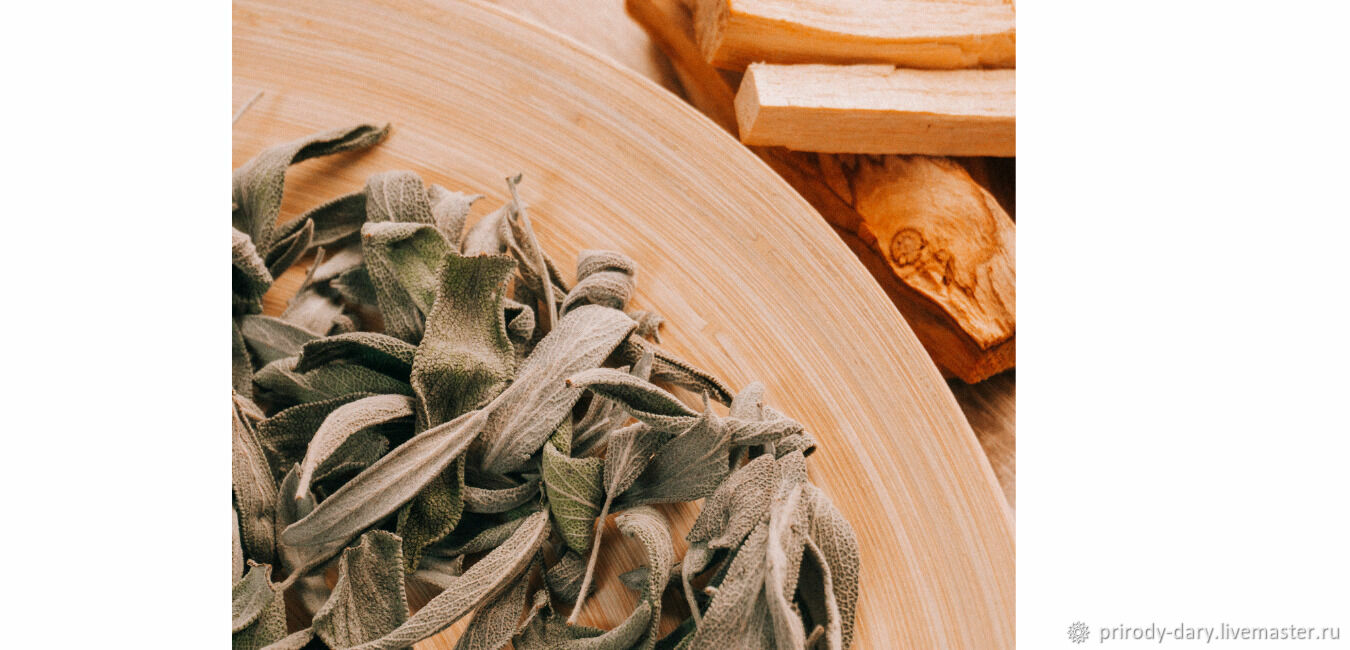 Шалфей лекарственный лист шалфея – купить на Ярмарке Мастеров – RMXBERU ...