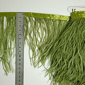 Материалы для творчества handmade. Livemaster - original item Braid of ostrich feathers 10-15 cm marsh-green. Handmade.