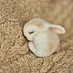 Felted brooch sleeping Bunny, Brooches, Arkhangelsk,  Фото №1