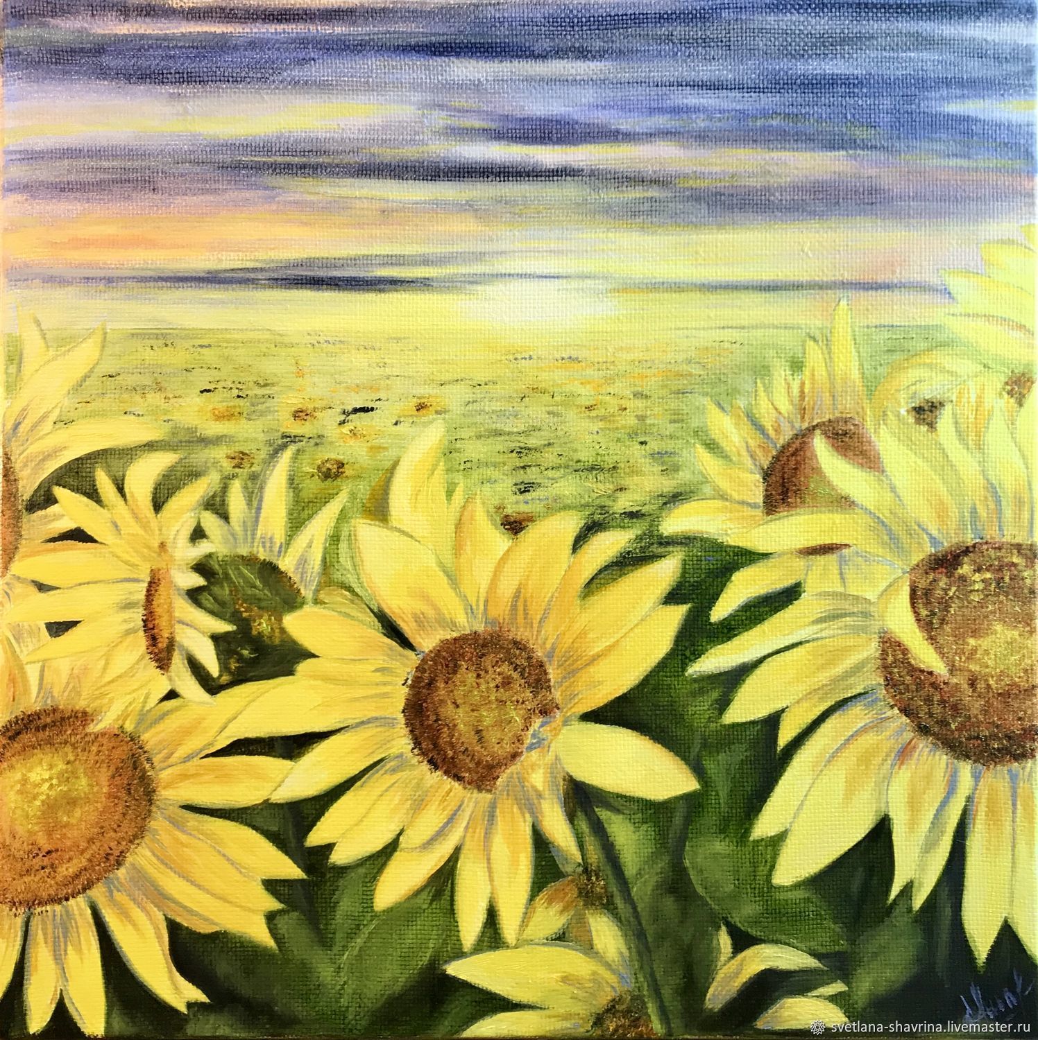 Oil painting: SUNFLOWERS in the field, m/x, 50h50, original, Pictures, Moscow,  Фото №1