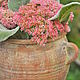Pot Pot of concrete, the Provence planters, Flowerpots are garden, Azov,  Фото №1