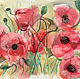 Sketch watercolor. Flowers of joy. Mac. Poppies red, Pictures, Moscow,  Фото №1