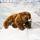Labrador puppy chocolate. Stuffed Toys. Dilara. My Livemaster. Фото №4
