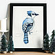 Watercolor Blue Jay. Pictures. natabold. Online shopping on My Livemaster.  Фото №2