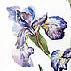 Order Painting watercolor "Irises". Artist Iuliia Kravchenko (realism-painting). Livemaster. . Pictures Фото №3