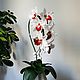 Flower-nightlight orchid 'Aria'. Nightlights. Elena Krasilnikova. Online shopping on My Livemaster.  Фото №2