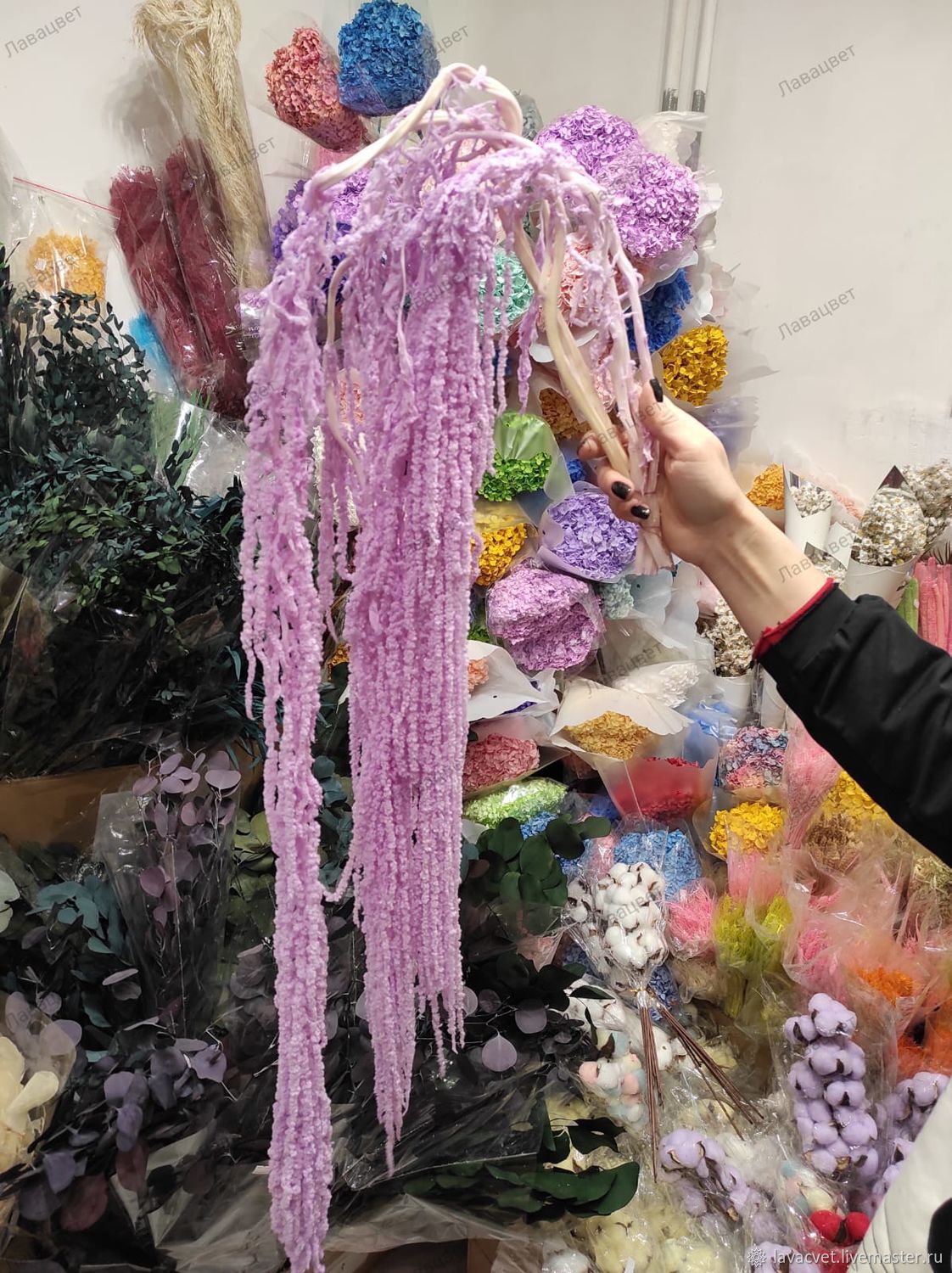 Амарант стабилизированный. Сиреневый купить в интернет-магазине Ярмарка ...