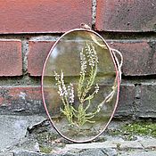 Для дома и интерьера handmade. Livemaster - original item the herbarium in the glass. Herbarium of flowers in a frame. Heather. Handmade.