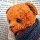 Sam. Teddy bear, 18 cm, Teddy Bears, Obninsk,  Фото №1