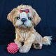 Maltipoo puppy Abby, Stuffed Toys, Tomsk,  Фото №1