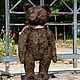  Mathis bear 46 cm. Teddy Bears. tamedteddibears (tamedteddybears). My Livemaster. Фото №5