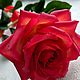 Красная роза из холодного фарфора, Цветы, Рыбное,  Фото №1