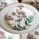 Винтаж: Глубокая тарелка для первых блюд. Botanica, Villeroy & Boch, Тарелки винтажные, Штутгарт,  Фото №1