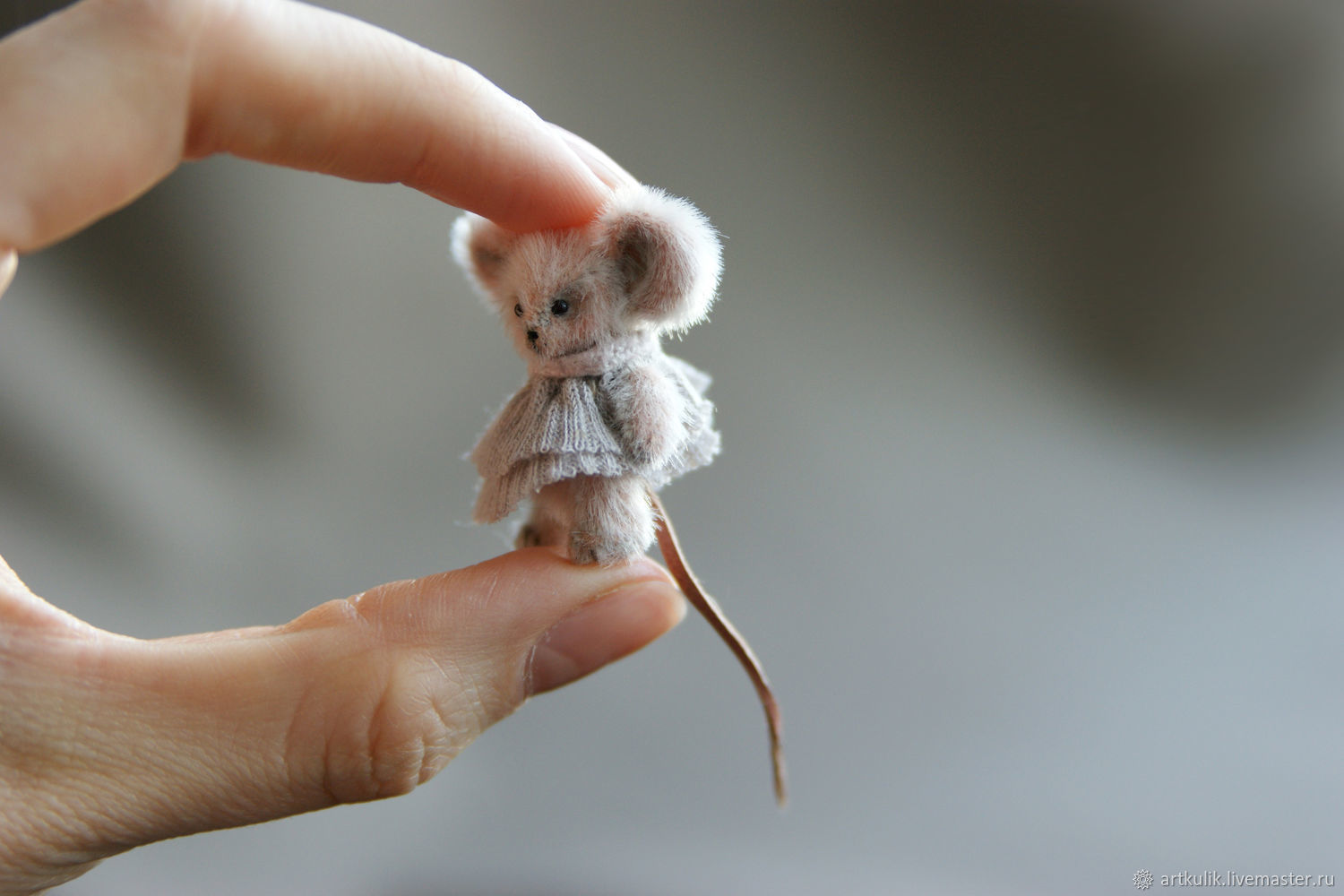 мышь в свитере