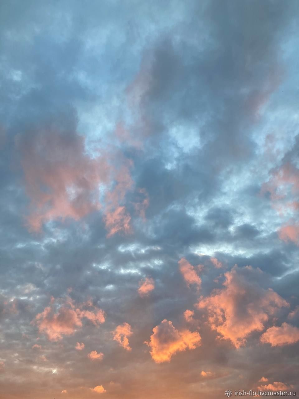 4 4