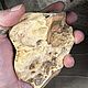 Яшма полихромная 471гр. На подставке. Коллекционные минералы. Камни. Seven Minerals. Ярмарка Мастеров.  Фото №7
