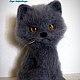 Британский котик, Мягкие игрушки, Калининград,  Фото №1