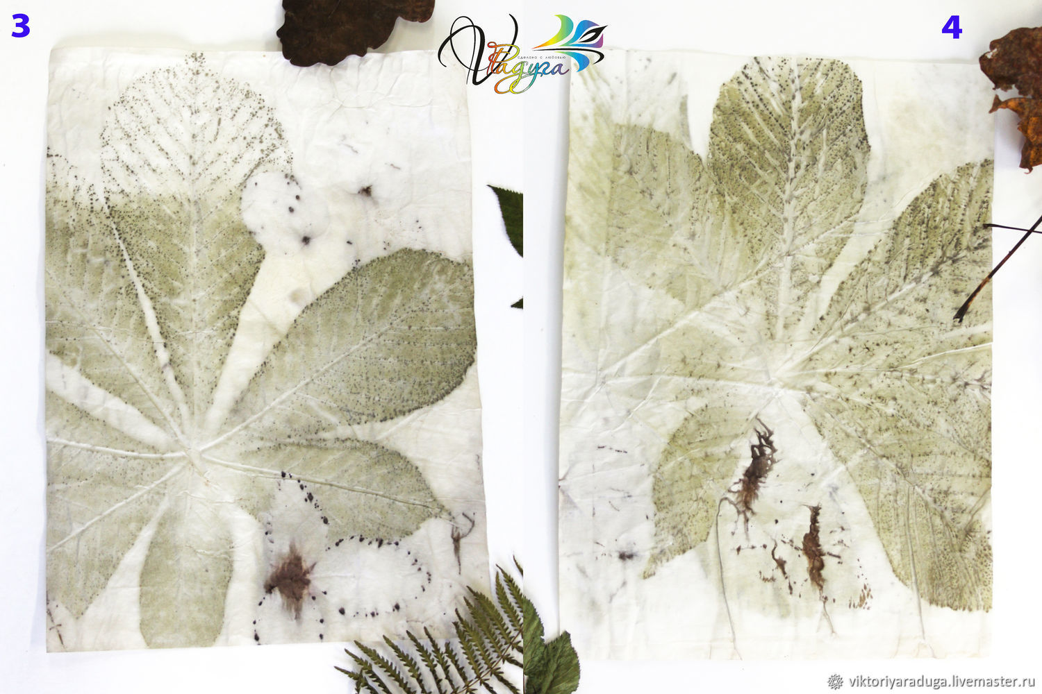 Отпечатки растений на бумаге