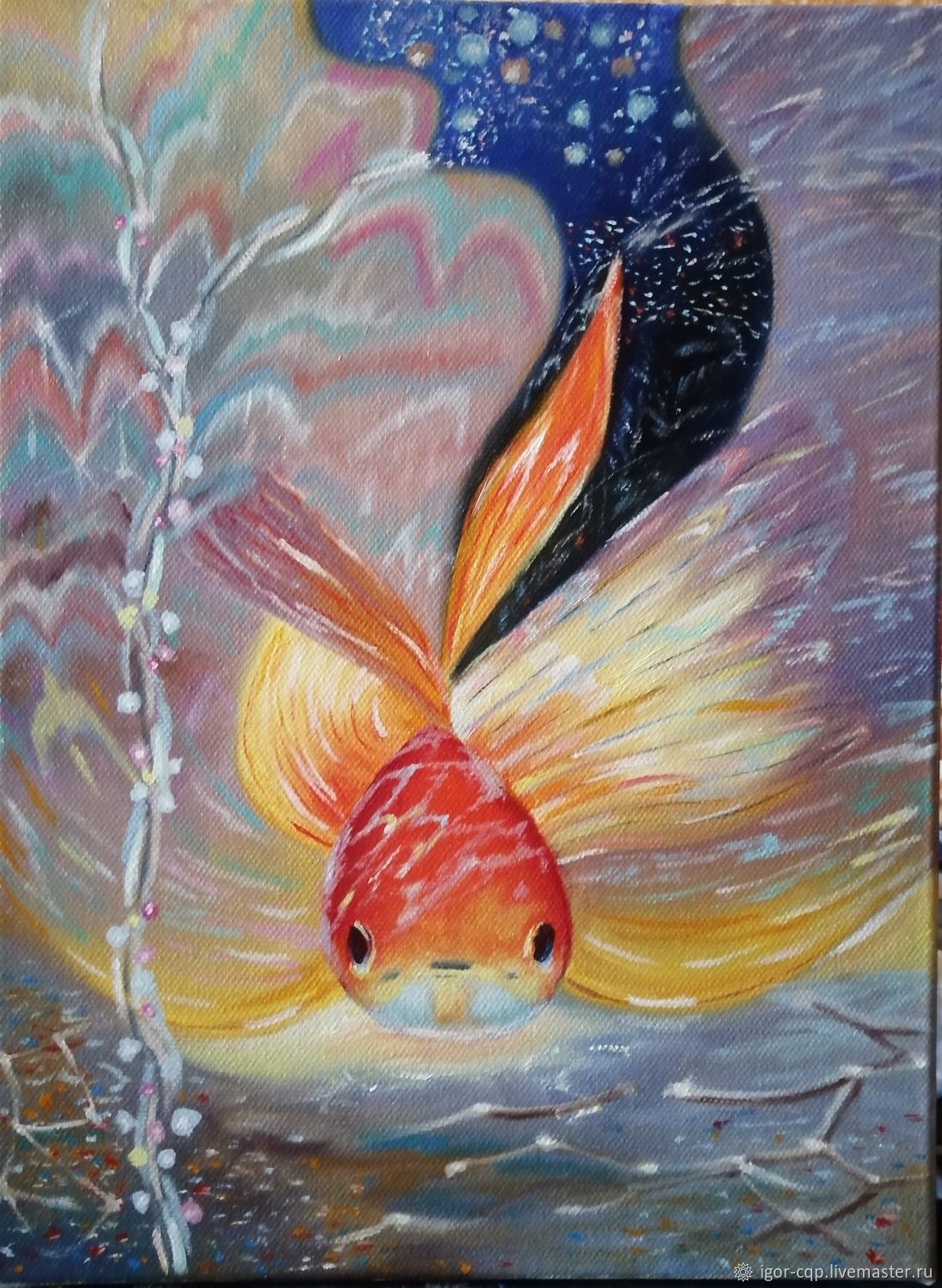 Золотая рыбка Маранов