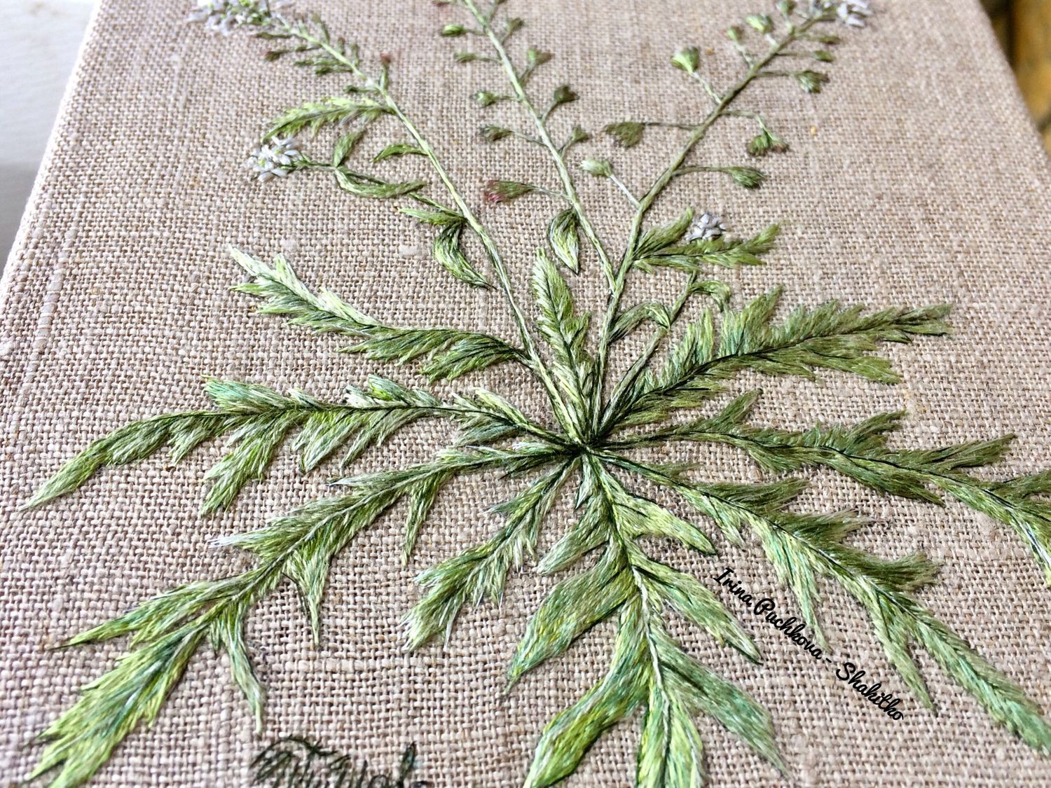 Купить Вышивку Сухие Травы