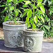 Цветы и флористика handmade. Livemaster - original item Set concrete pots with texture, the Lily of Provence, Vintage, Shabby. Handmade.