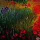 "Tuscany. Poppies" oil Painting. Pictures. Kind paintings by Irina Belozerova. Online shopping on My Livemaster.  Фото №2