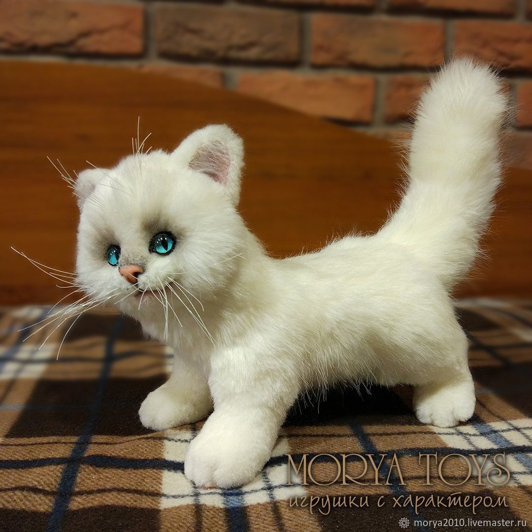 kitten soft toys