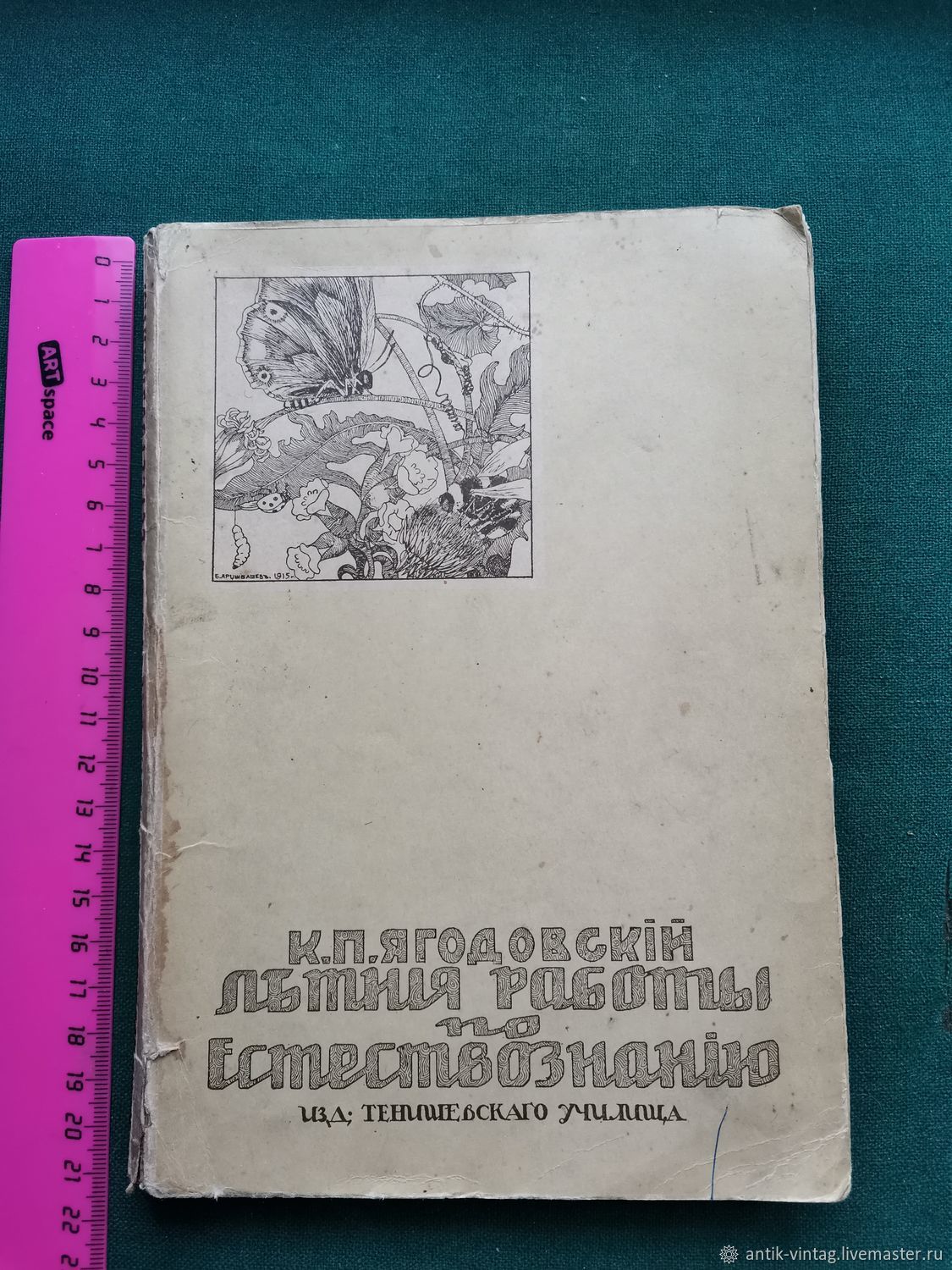 Винтаж: Книга Летние работы по естествознанию 1915 год купить в  интернет-магазине Ярмарка Мастеров по цене 4500 ₽ – TF6N6RU | Книги  винтажные, ...