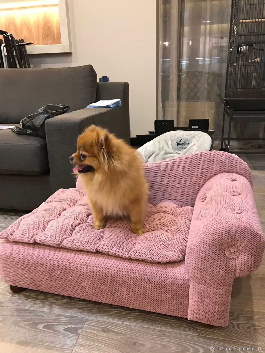 диван для маленькой собачки