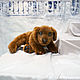 Labrador puppy chocolate. Stuffed Toys. Dilara. My Livemaster. Фото №5