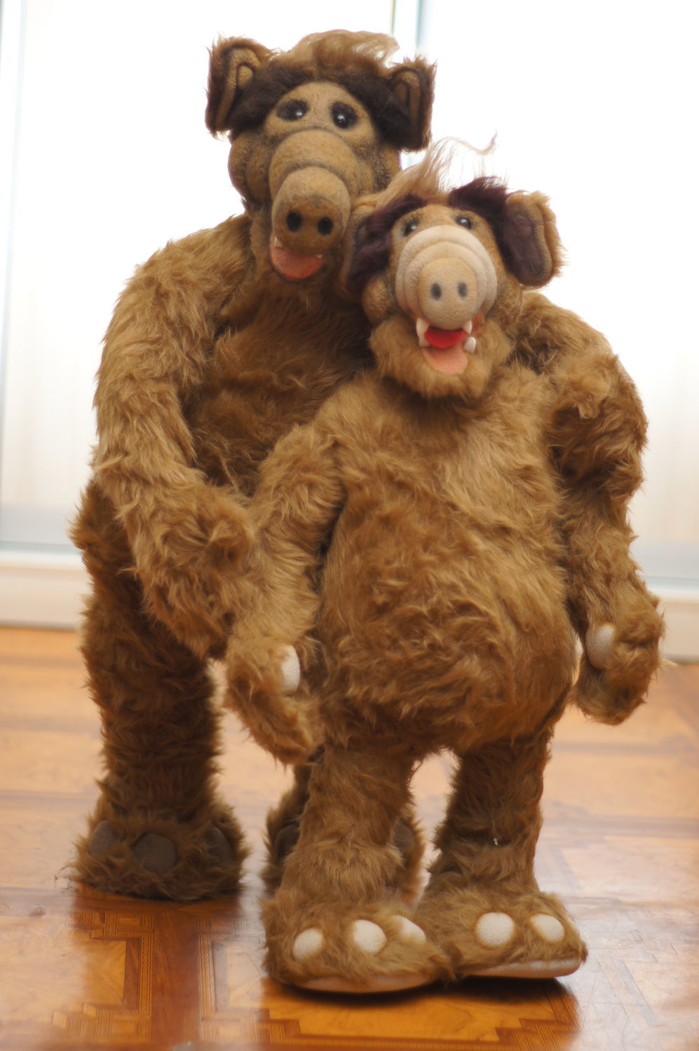 alf teddy