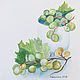 Watercolor painting Green grapes. Pictures. artwatercolor. Online shopping on My Livemaster.  Фото №2