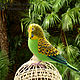 Parrot Carlos / wavy parrot / bird talker / budgerigar. Stuffed Toys. Woolen Zoo. My Livemaster. Фото №5