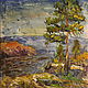 Low sun over the lake Ladoga. Oil on canvas, 70 x 50 cm, 2018, Pictures, Moscow,  Фото №1