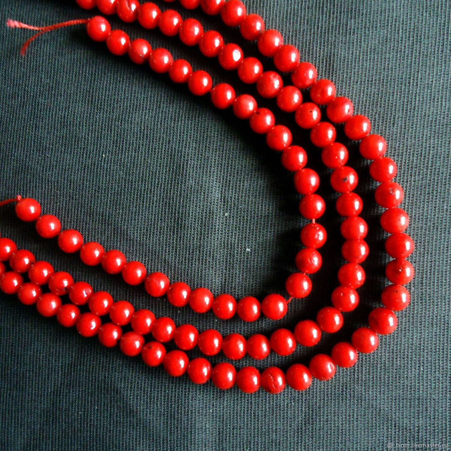 корал 6. флуоресценция. корал 6. корал 6. корал что ко дну прилип 5 букв сканворд.