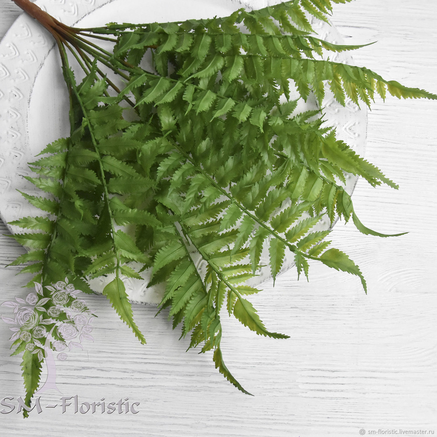 Нефролепис триждыперистый. Папоротник ажурный. Нефролепис глориоза. Папоротник нефролепис. Папоротник орляк.