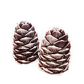 Косметика ручной работы handmade. Livemaster - original item Handmade cedar pine cone soap as a gift for the new year. Handmade.