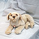 Labrador puppy. Stuffed Toys. Dilara. My Livemaster. Фото №5
