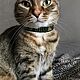 Collar 'Geometry-squares'. Dog - Collars. Kairos. Online shopping on My Livemaster.  Фото №2