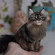 Мейнкун котик. Портретная игрушка. Сухое валяние. Войлочная игрушка. Войлочные зверики Людмилы Демидович. Ярмарка Мастеров.  Фото №9