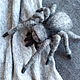 Brooch 'Spider 8' grey, Brooches, Moscow,  Фото №1