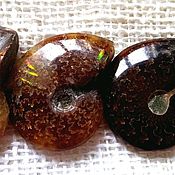 Материалы для творчества handmade. Livemaster - original item Ammonites (ancient molluscs) Madagascar. Handmade.
