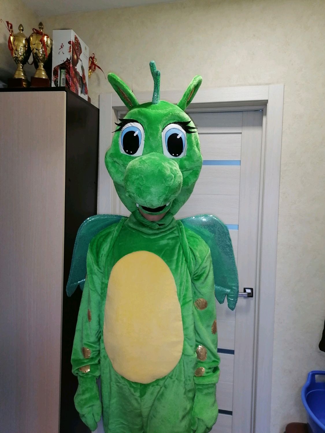 Костюм дракона на заказ в интернет-магазине Ярмарка Мастеров по цене ...