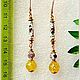 Order Earrings 'Porcelain smooth' amber gold plated. Frollena II. Natural Baltic amber. Livemaster. . Earrings Фото №3