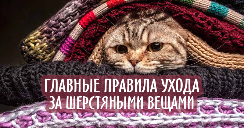 уход за шерстяными вещами