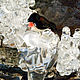 "Снегирь": колье лэмпворк на серебряной цепочке, Колье, Санкт-Петербург,  Фото №1