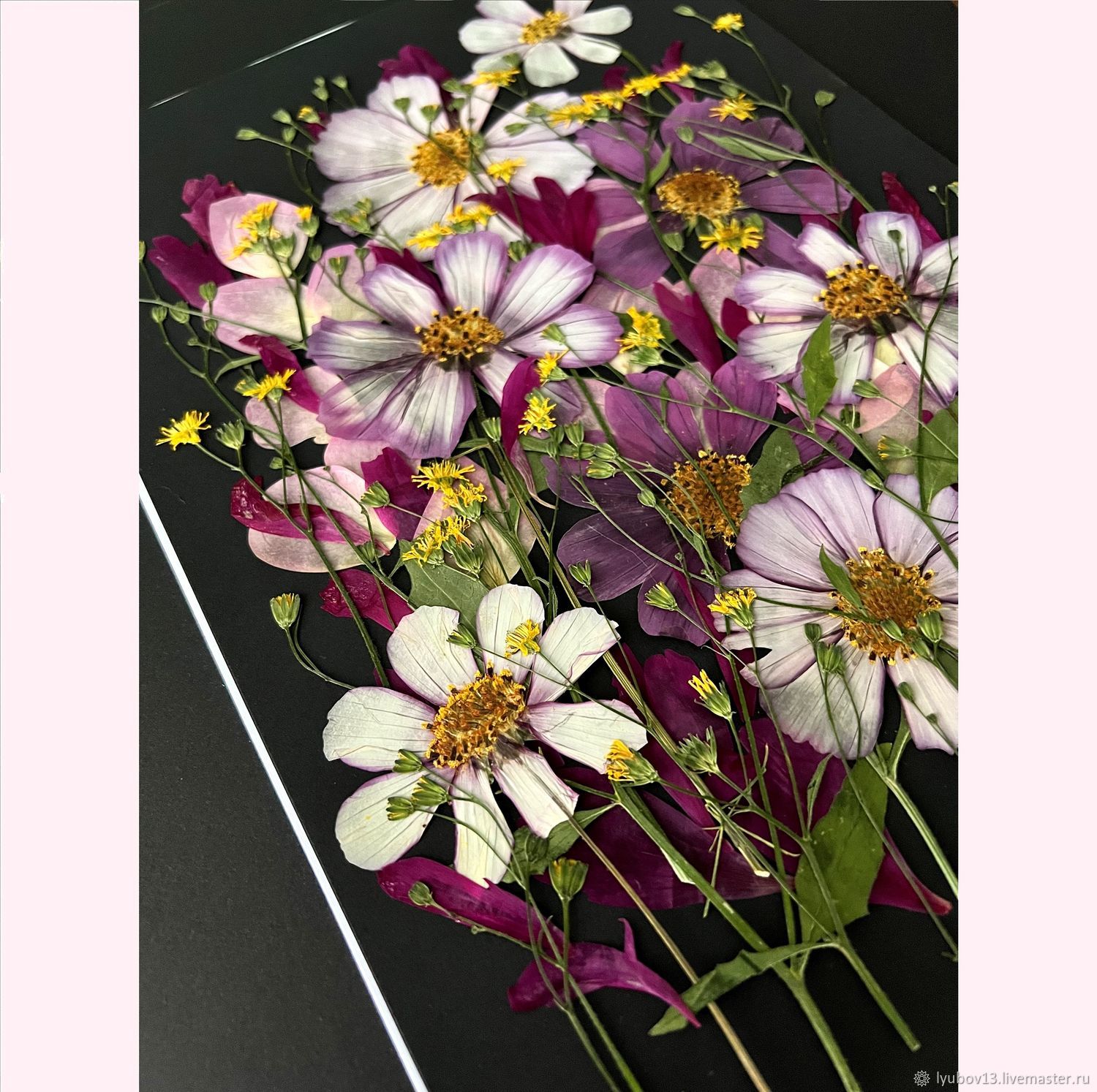 Гербарий сухоцветы набор \"пионы космея бородавник\" ЯЯ3 купить в ...