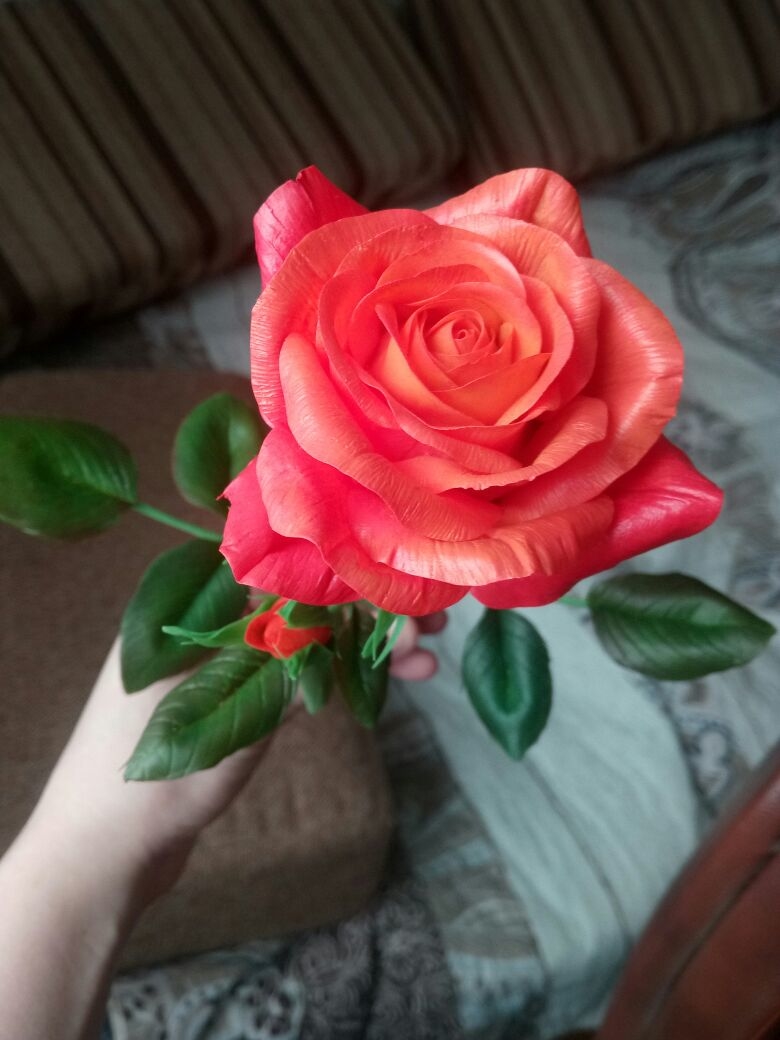 Мой профиль